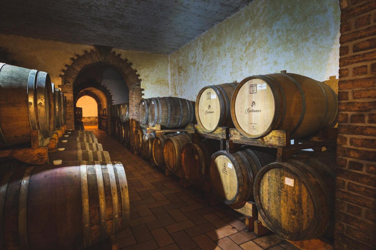 Wine Residence Cattunar Brtonigla Εξωτερικό φωτογραφία