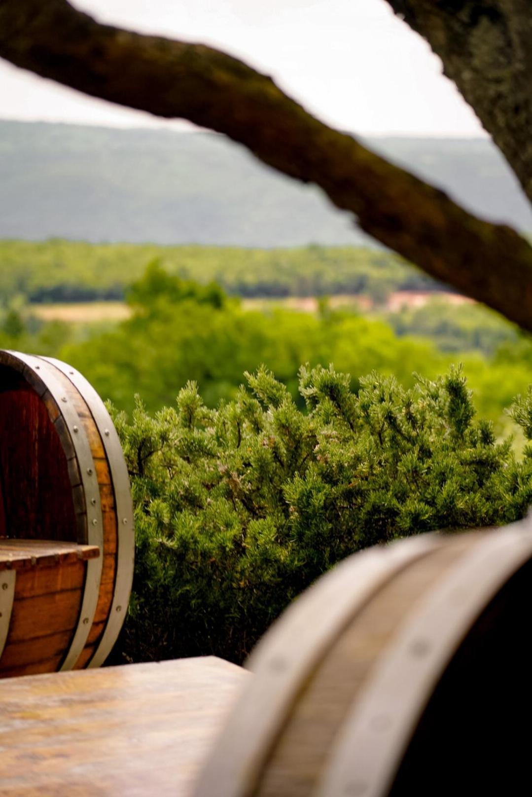Wine Residence Cattunar Brtonigla Εξωτερικό φωτογραφία