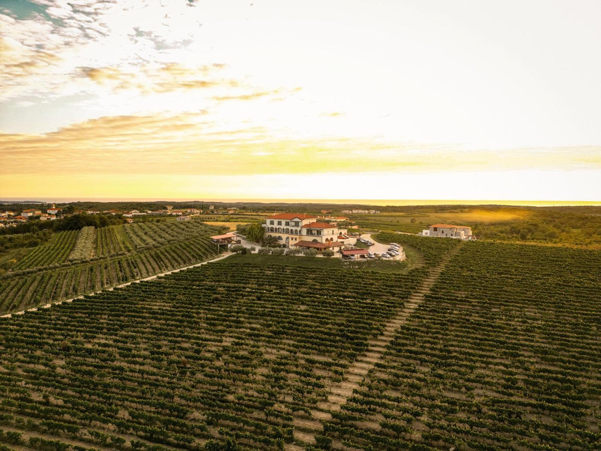 Wine Residence Cattunar Brtonigla Εξωτερικό φωτογραφία